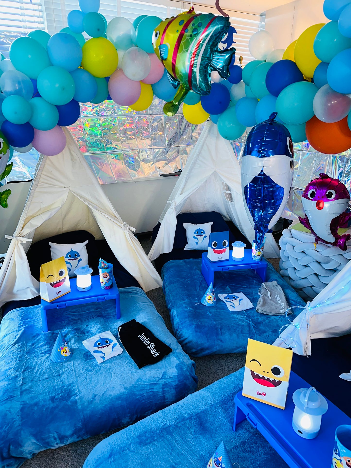 ULTIMATE Indoor camp party