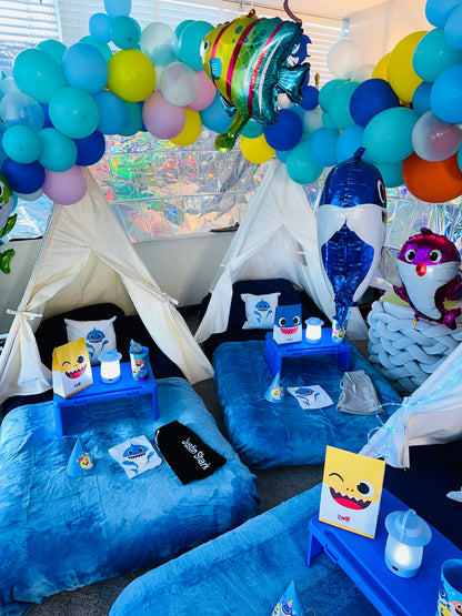 ULTIMATE Indoor camp party