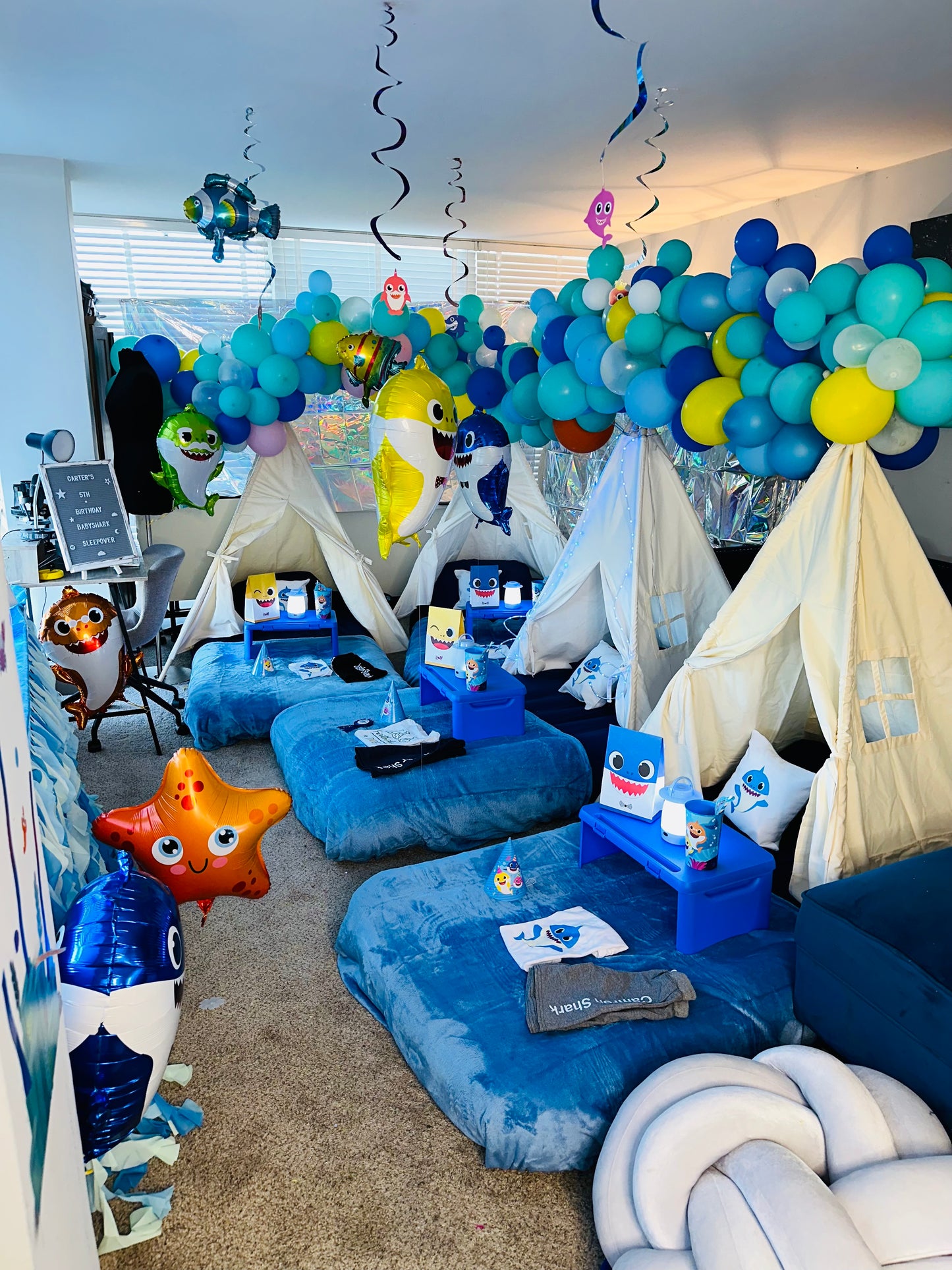 ULTIMATE Indoor camp party