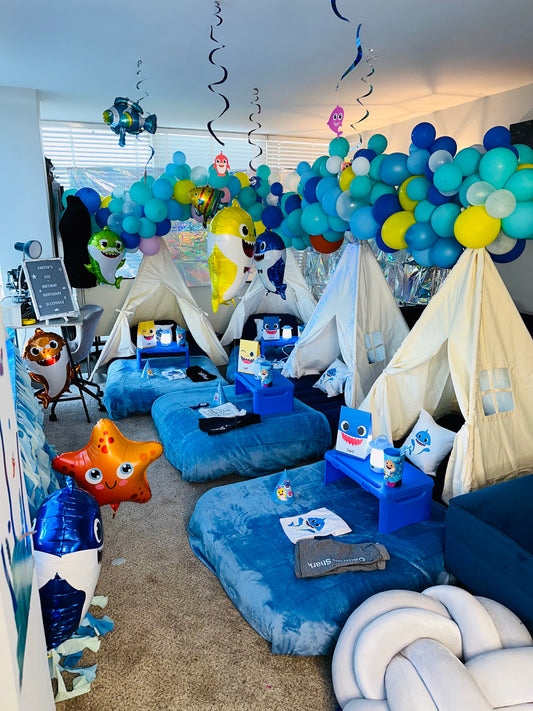 ULTIMATE Indoor camp party